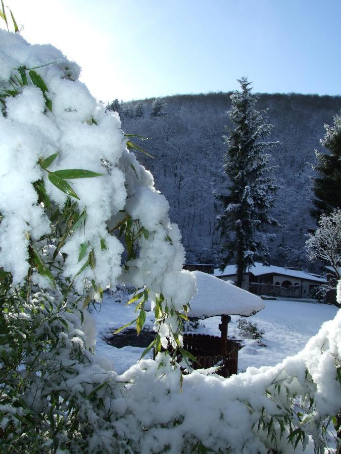 Hotel Forsthaus Volkesfeld Екстериор снимка